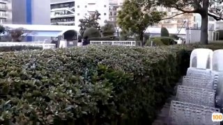 欧美久久综合_欧美亚洲精品成人视频